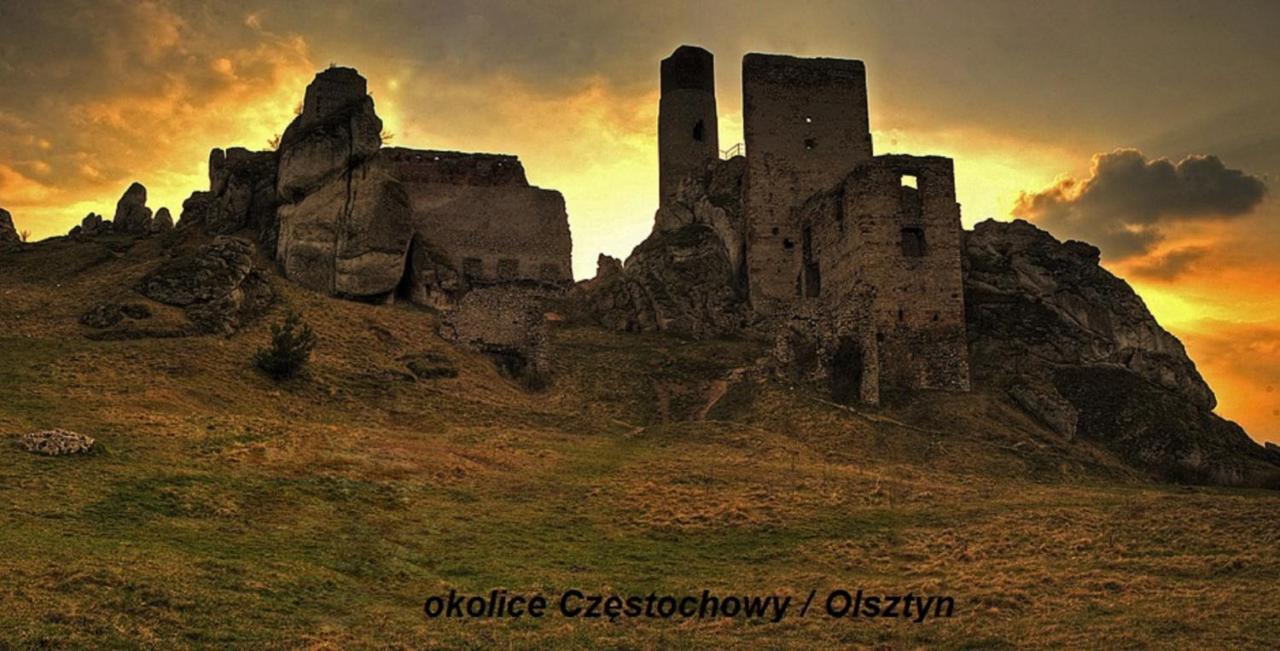 Apartamenty Czestochowa Eu "Parking Gratis" Екстер'єр фото